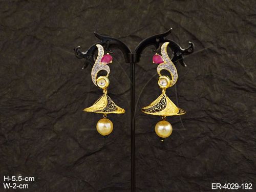 ER-4029-192-RANI