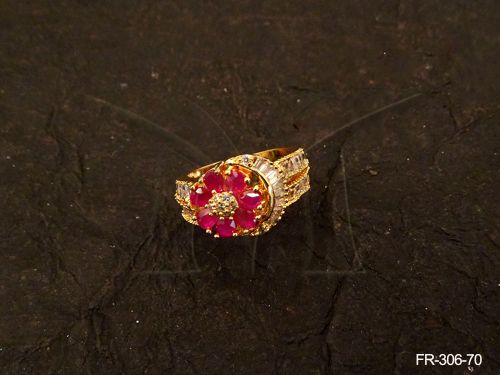 FR-306-70-RANI