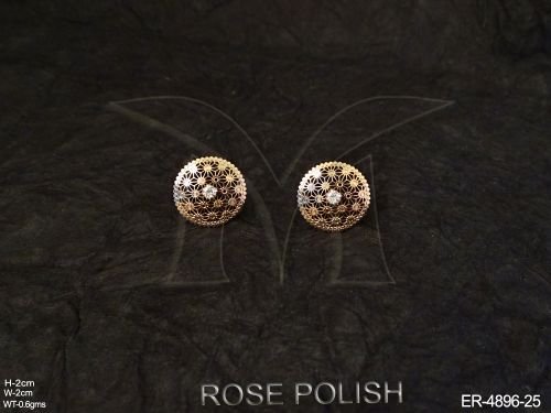 ER-4896-25-ROSE POLISH