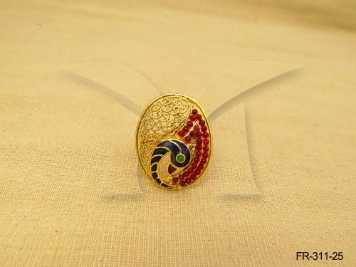 FR-311-25-RANI
