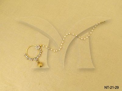 NT-21-29-GOLDEN